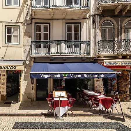 Whome The Premier Destination For True Wanderers Apartman