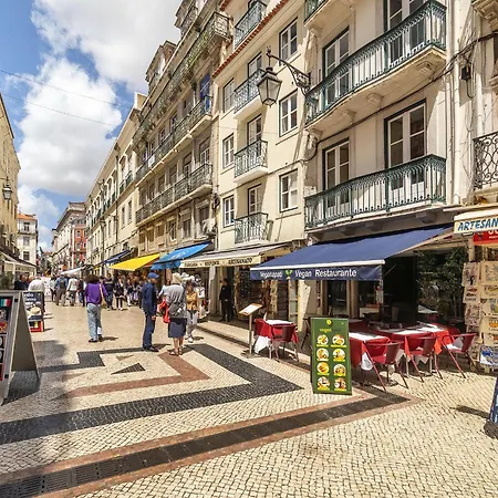 Whome The Premier Destination For True Wanderers *